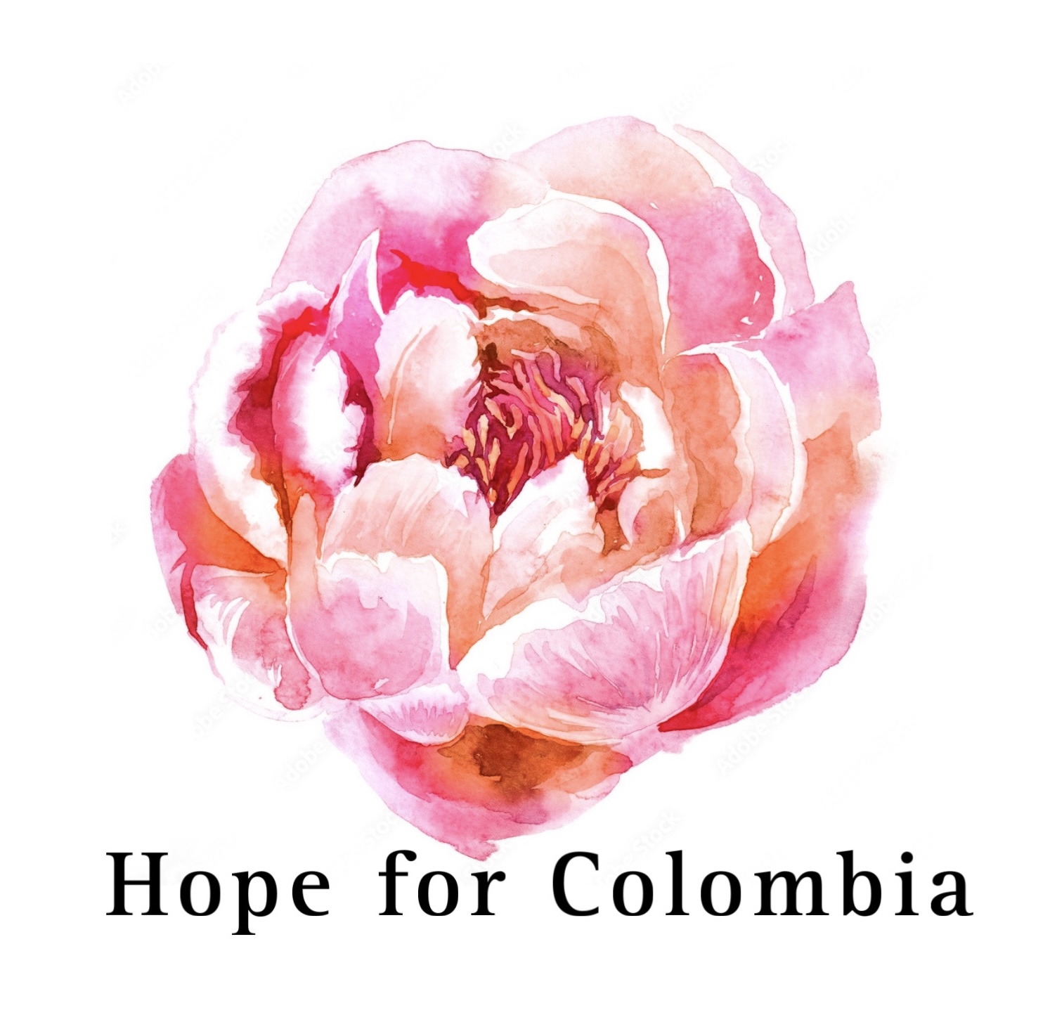 HOPE FOR COLOMBIA INC logo