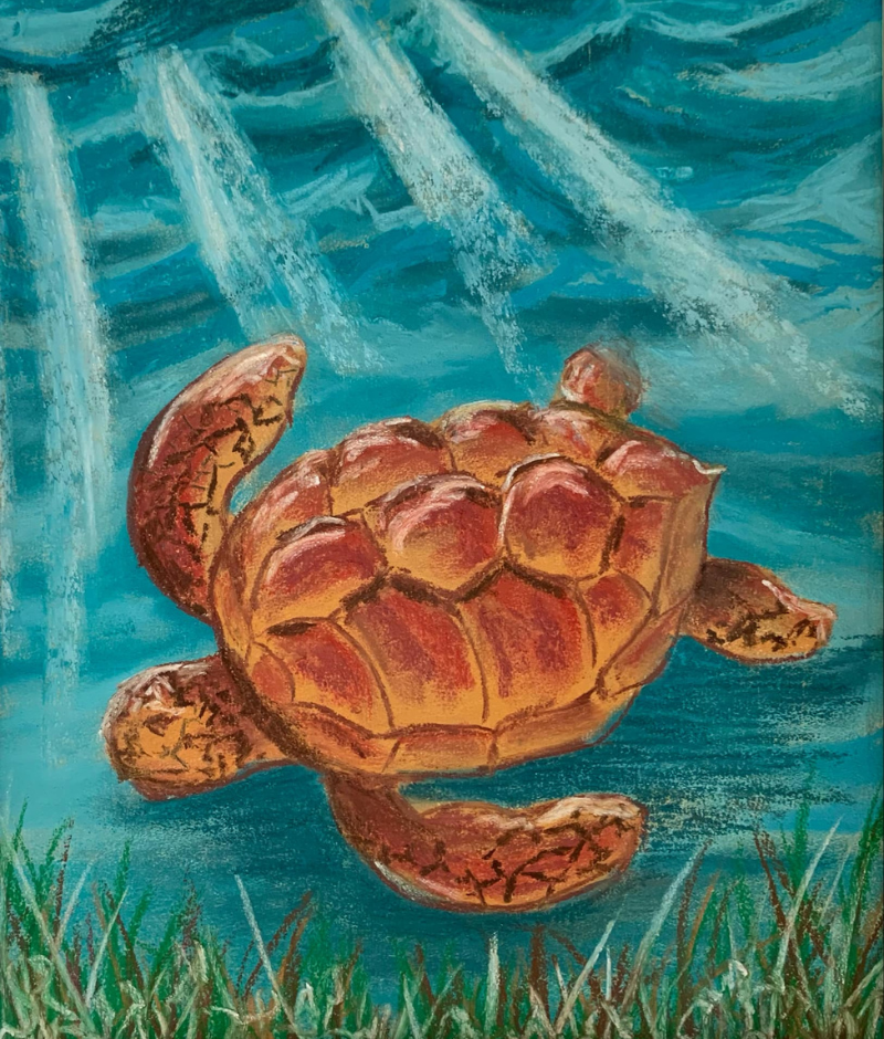 Tranquil Turtle