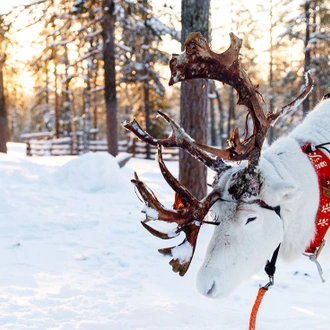 tourhub | Intrepid Travel | Finland Family Holiday 