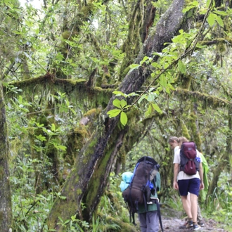 tourhub | Burigi Chato Safaris | 7 Days Kilimanjaro Mountain summit tour Via Machame route 