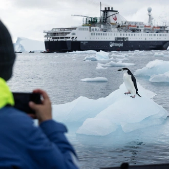 tourhub | Intrepid Travel | Best of Antarctica In Depth (Ocean Endeavour) 