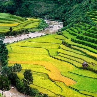 tourhub | LVP Travel Vietnam | Hanoi to Sapa 2 days 1 night by bus 