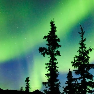 tourhub | On The Go Tours | Yukon & Northern Lights - 4 days 