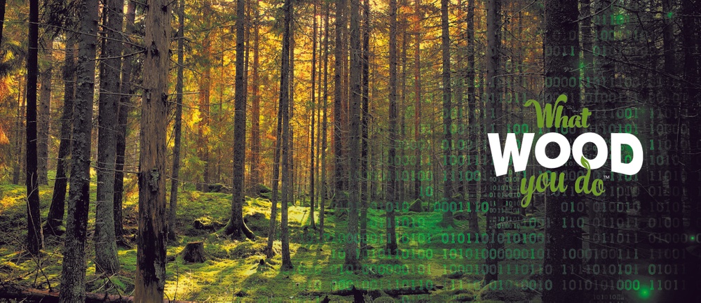 24 september är det final i innovationstävlingen What wood you do, som livestreamas från Karlstad