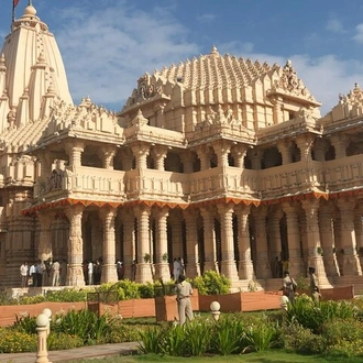 tourhub | Agora Voyages | Temple & Lion Safari Tour from Rajkot in Gujarat 