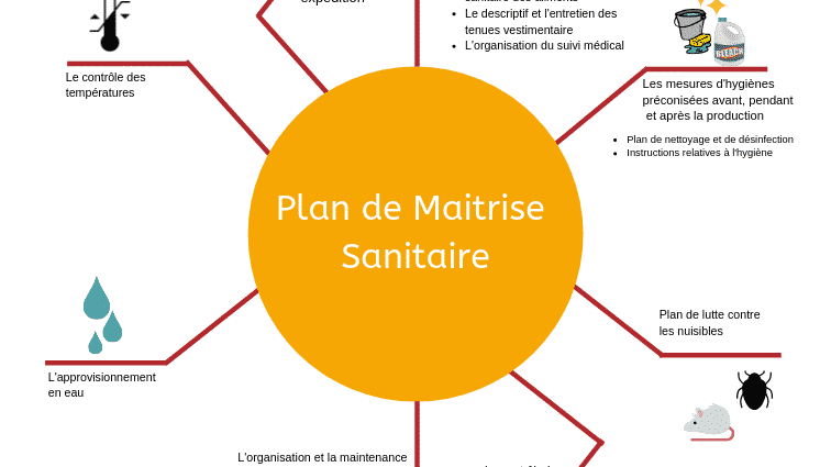 Représentation de la formation : Formalisation du Plan de Maitrise Sanitaire 