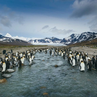 tourhub | Intrepid Travel | Falklands, South Georgia and Antarctica: Explorers and Kings 