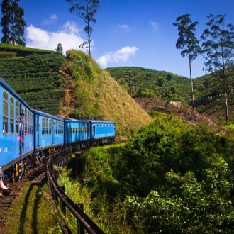 tourhub | Aitken Spence Travels | All in One Sri Lanka - Free Upgrade to Private Tour Available 