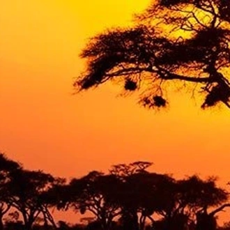 tourhub | Exoticca | Savannah, Safari & Maasai Mara 