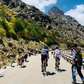 tourhub | SpiceRoads Cycling | Central Portugal by Road Bike 