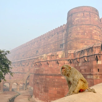 tourhub | Seven Wonder Tour and Travels | Jewels of India: Agra & Jaipur Expedition 