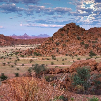 tourhub | Salty Travel | 7-Day Namibia Highlights Fly-in Safari 