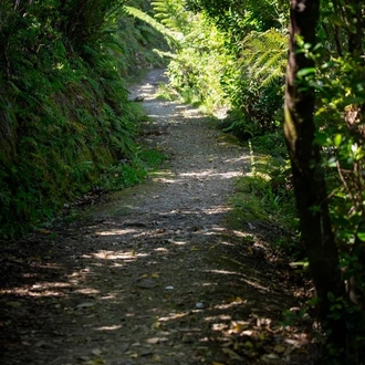 tourhub | Heritage Expeditions | Unseen Queen Charlotte Sound 