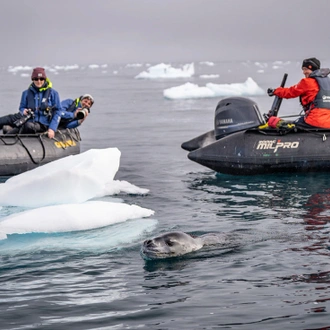 tourhub | Intrepid Travel | Best of Antarctica: Whale Journey (Ocean Endeavour)  