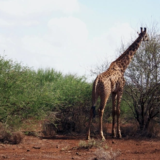 tourhub | Exodus Safaris | 9 Days Budget Kenya Safari – Masai Mara, Naivasha, Amboseli & Tsavo 