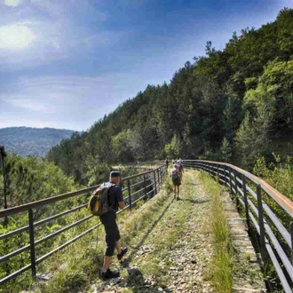 tourhub | The Natural Adventure | Trails of Istria Walking Break 