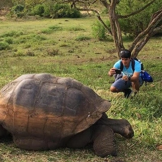 tourhub | Latin Adventures | Machu Picchu & Galápagos Islands essentials 