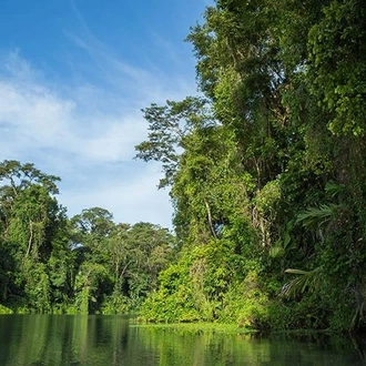 tourhub | Bamba Travel | Tortuguero National Park Adventure 2D/1N 