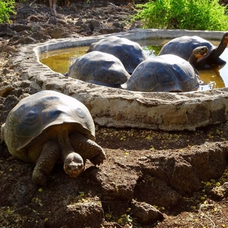 tourhub | Ecuador Galapagos Travels | 5 Days Galapagos Wildlife Discovery (2 Uninhabited Islands) 