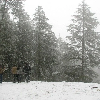 tourhub | Avtar India Tours | 5 Night 6 Day Shimla Manali tour by car 