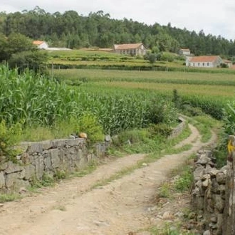 tourhub | UTracks | The Portuguese Camino - Coimbra to Porto 