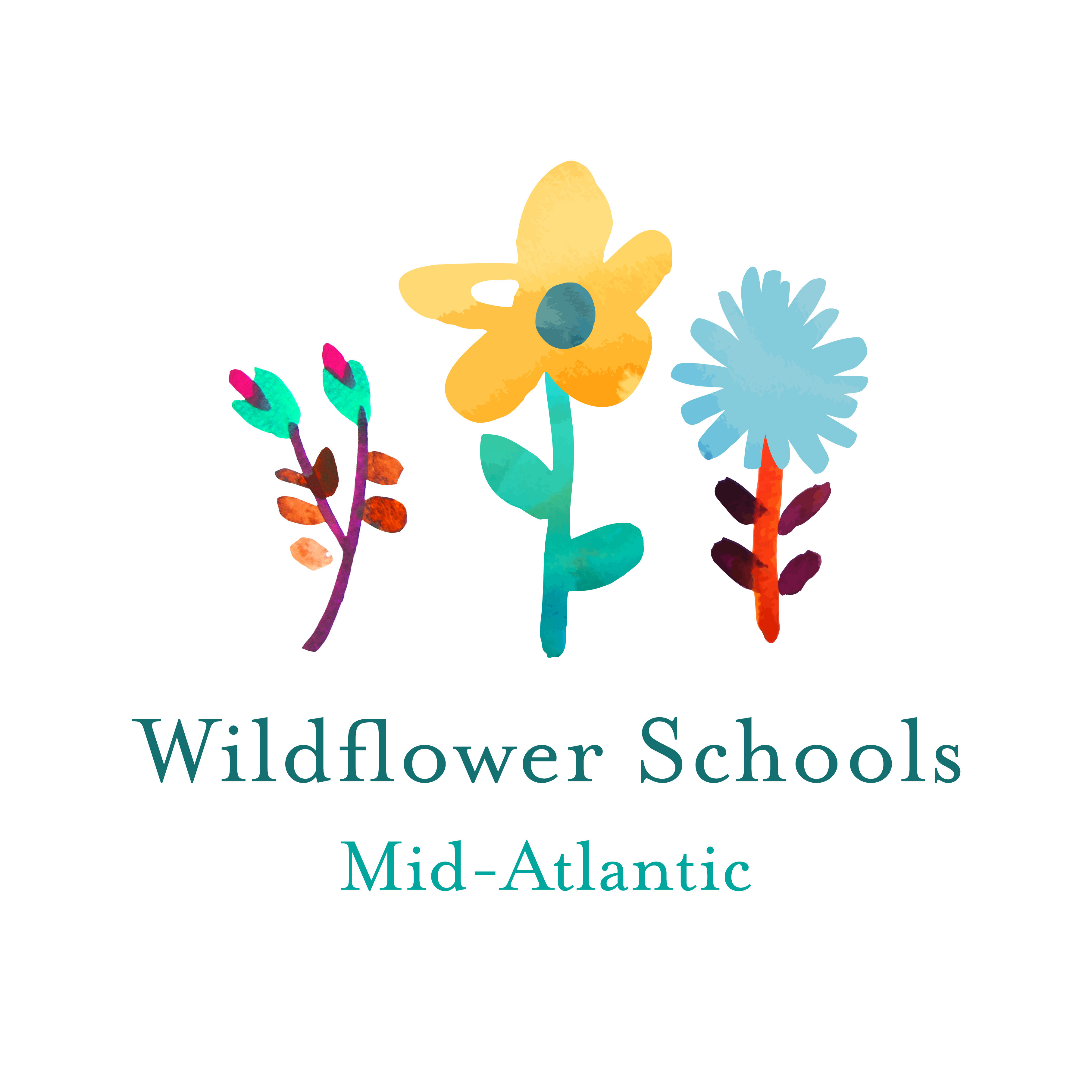 Wildflower Schools logo