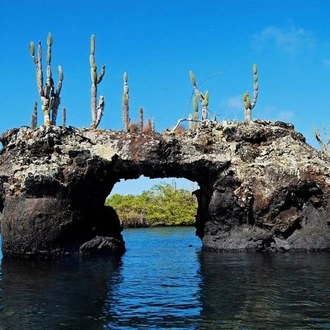 tourhub | BM Tours | Galapagos - Santa Cruz and Isabela. 6 Days Tours 