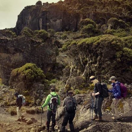 Mt Kilimanjaro Trek - Machame Route (8 Days)