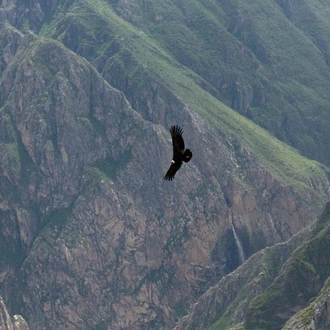 tourhub | Tangol Tours | 3-day Colca Canyon Trek Tour Adventure - Private Room 