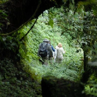 tourhub | GoExplore Safaris | Ultimate Gorilla Trekking Safari 