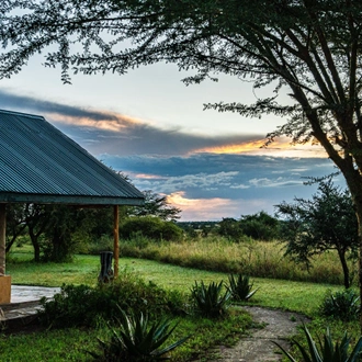 tourhub | Beach and Safari Holidays | Tanzania's Iconic Safari Adventure: From Savannah to Crater 