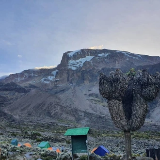 tourhub | Horizon Seeker Adventure | 11 days Kilimanjaro Climbing Northern Circuit route 