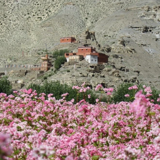 tourhub | Himalayan Sanctuary Adventure | Upper Mustang Trek 