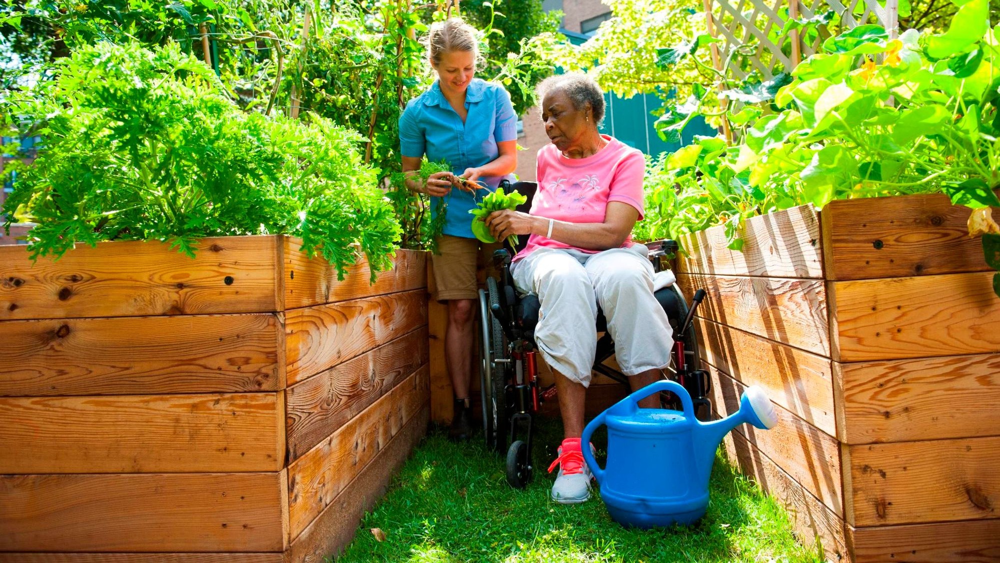 Représentation de la formation : Animer un atelier jardin avec des personnes âgées (module 2)