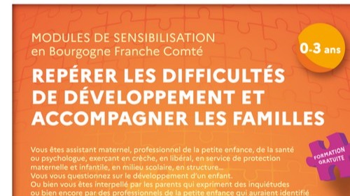 Représentation de la formation : "0 - 3 ans : Repérer les difficultés de développement et accompagner les familles" (sensibilisation) - Yonne (89) - 2024