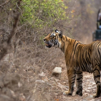 tourhub | UncleSam Holidays | Tour of North India 