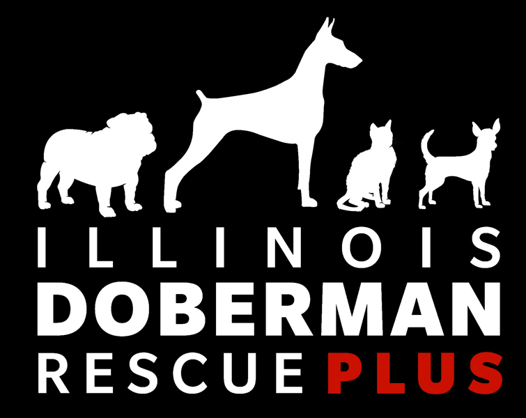 Illinois Doberman Rescue Plus logo
