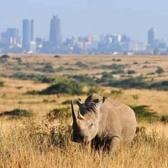 tourhub | Today Voyages | PRIVATE TOUR - Majestic Mara / Beach - LUXURY OPTION 