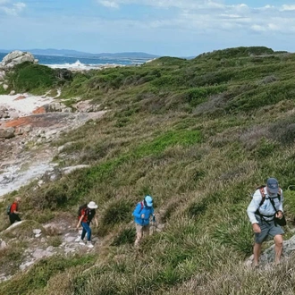 tourhub | Intrepid Travel | Walk Tasmania's Bay of Fires 