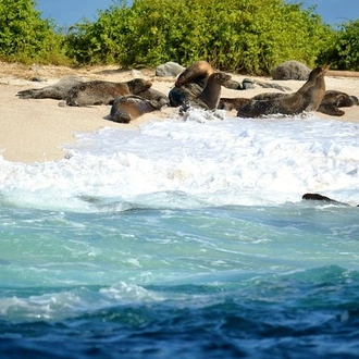 tourhub | BM Tours | Galapagos - Santa Cruz and Isabela. 6 Days Tours 