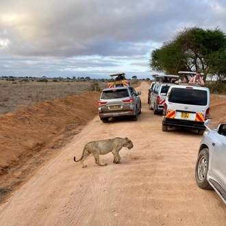 tourhub | Frenzy Adventures Limited | 3 Days Tsavo East & Tsavo Lion King Safari 