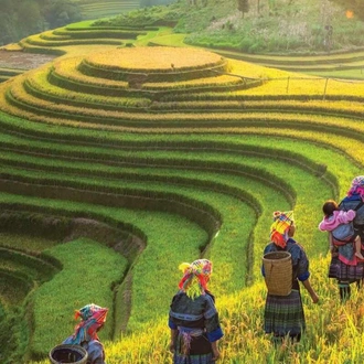 tourhub | Threeland Travel | VIETNAM IN DEPTH 12 DAYS 11 NIGHTS 