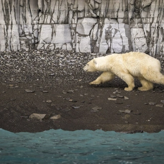 tourhub | Aurora Expeditions | Out of the Northwest Passage (Eastbound) 