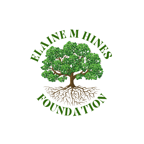 EMH Foundation logo