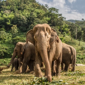 tourhub | Exodus Adventure Travels | Treasures of Northern Thailand 