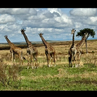 tourhub | Johnbow Tours and Travel | 3-Days Masai Mara safari by 4 X 4 Jeep 