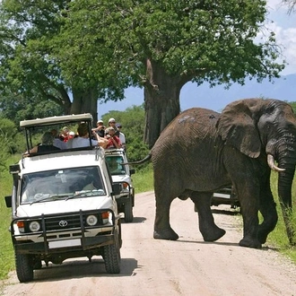 tourhub | Gracepatt Ecotours Kenya | 12 Days Tanzania Best Wildlife Safari And Zanzibar Beach Holiday  