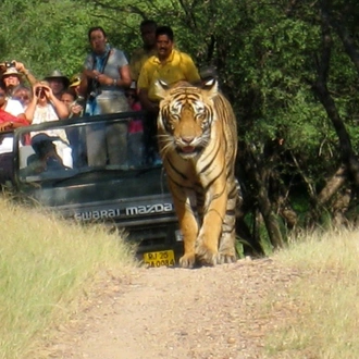 tourhub | Holidays At | Heritage Tour to India 