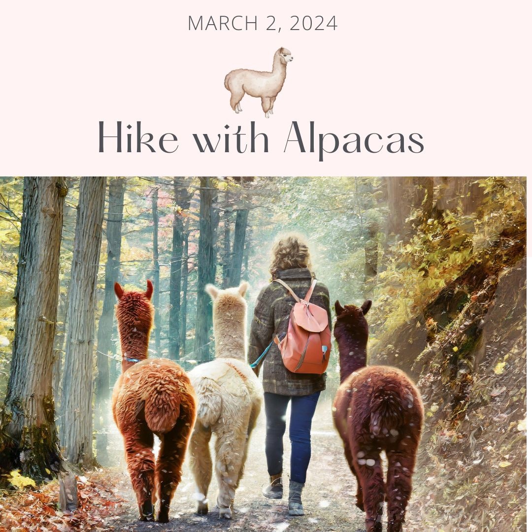 Private Alpaca Trail Walk