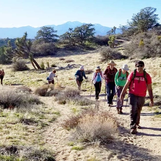 tourhub | Intrepid Travel | Hiking and Camping in Joshua Tree 